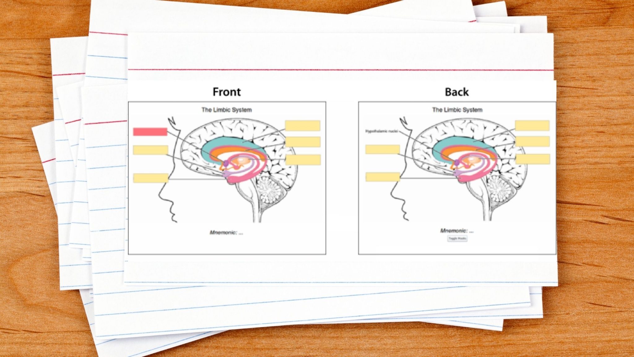 Hide Parts of images Image Occlusion in Anki (How to Guide)
