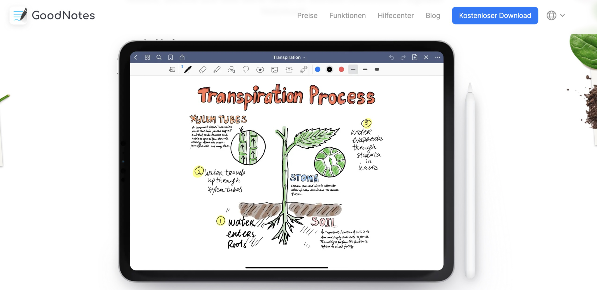 Notion vs. GoodNotes - Which Tool Is Better For Taking Notes? - Tools2Study